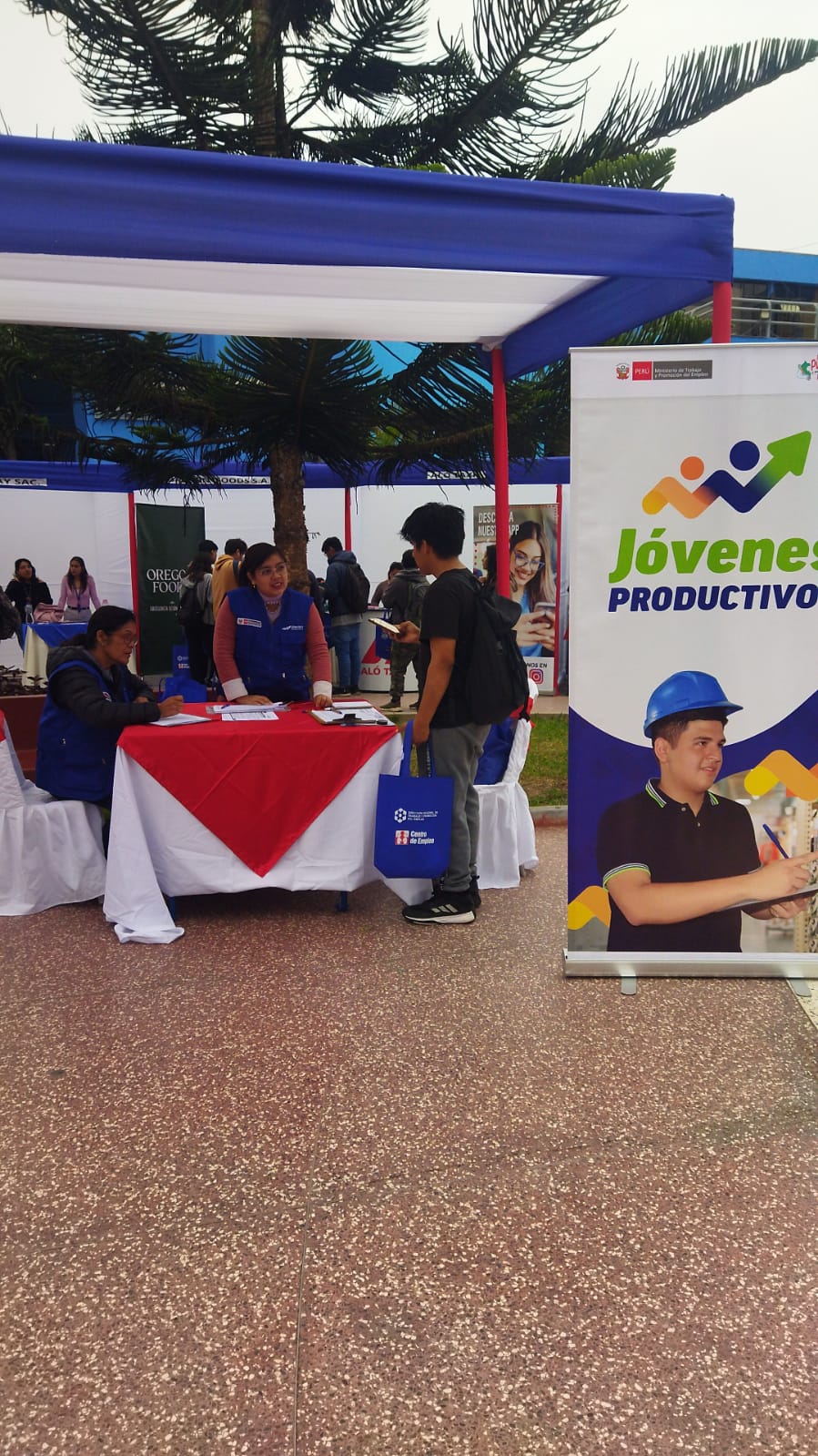 Actividad en Puente Piedra