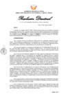 Vista preliminar de documento rd-133-2025