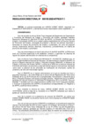 Vista preliminar de documento RD-000105-2025-MTPE_3_17.1