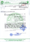 Vista preliminar de documento Prescripción Adquisitiva de Dominio del Vehículo de Placa AHU290