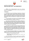 Vista preliminar de documento RD-000110-2025-MTPE_3_17.1