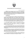 Vista preliminar de documento RD-049-2025-CONCYTEC-DPP