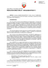 Vista preliminar de documento RD-000122-2025-MTPE_3_17.1