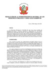 Vista preliminar de documento Resolución de la Superintendencia Nacional de los Registros Públicos n.° 082-2025-SUNARP/SN