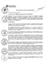 Vista preliminar de documento RA-060-2025-MDJM