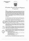 Vista preliminar de documento RGGR 0291-2025-GRA/GGR