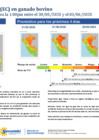 Vista preliminar de documento boletinITH300525