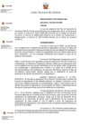 Vista preliminar de documento Resolucion 037-2025-DG-JNJ