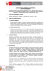 Vista preliminar de documento TDR (1)
