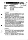 Vista preliminar de documento Resolución Directoral N° 012-2009-MEM_AAM