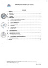 Vista preliminar de documento Directiva N°001-2025-GM-MDCC