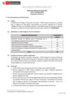 Vista preliminar de documento BASES CAS 155-2025