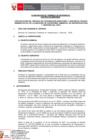 Vista preliminar de documento TDR REQ 2669 VF