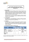 Vista preliminar de documento PLAN DE TRABAJO ESSALUD