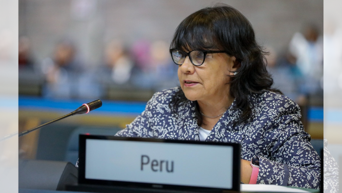 Perú impulsa el desarrollo urbano sostenible en la Asamblea de ONU-Hábitat en Kenia