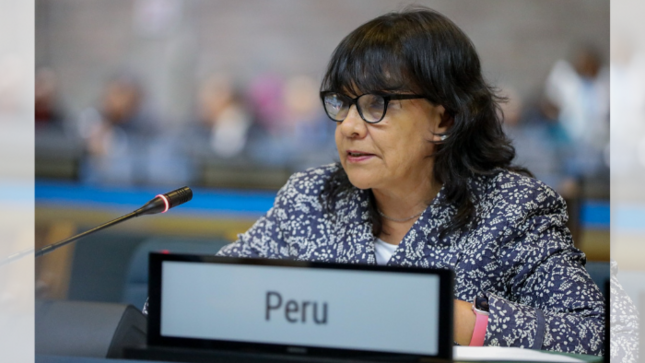 Perú impulsa el desarrollo urbano sostenible en la Asamblea de ONU-Hábitat en Kenia