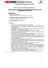 Vista preliminar de documento POCESO  CAS 040 -2025-BASES CONCURSO