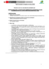Vista preliminar de documento POCESO  CAS 041 -2025-BASES CONCURSO