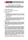Vista preliminar de documento TDR
