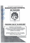 Vista preliminar de documento CAS N°004-2025