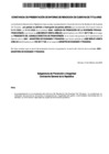 Vista preliminar de documento Constancia de Presentación (01/01/2025 - 31/01/2025)