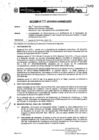 Vista preliminar de documento Resolución Directoral N° 336-2010-MEM_AAM