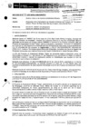 Vista preliminar de documento Resolución Directoral N° 243-2010-MEM_AAM