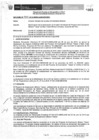Vista preliminar de documento Resolución Directoral N° 333-2010-MEM_AAM