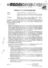 Vista preliminar de documento Resolución Directoral N° 183-2009-MEM_AAM