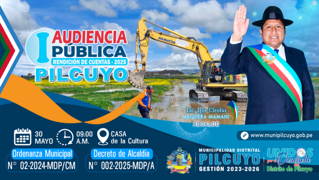 https://munipilcuyo.gob.pe/ordenanzas-municipales/
https://munipilcuyo.gob.pe/decretos-de-alcaldia/