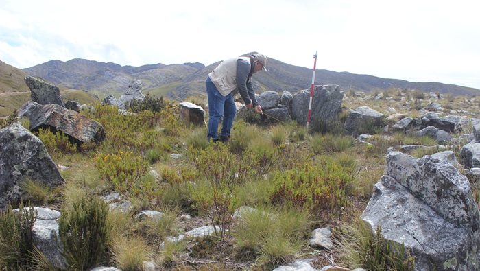 Servidores de la Unidad Ejecutora realizando labores de prospección arqueológica
