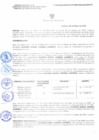 Vista preliminar de documento 0536 - 2025