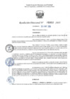 Vista preliminar de documento RD 1612-2025 NX
