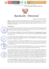 Vista preliminar de documento CONFORMACION DEL COMITE DE ACREDITADORES Y EVALUADORES INTERNOS DE LA RED DE SALUD DOS DE MAYO Y LA RED FUNCIONAL LAURICOCHA