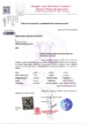 Vista preliminar de documento Prescripción adquisitiva de dominio vehicular placa N.° Z3K684