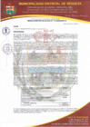Vista preliminar de documento RESOLUCION DE ALCALDIA 073-2025-MDV