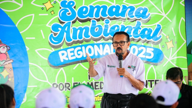 AMBIENTAL