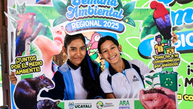 AMBIENTAL