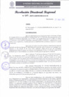 Vista preliminar de documento RDR 197-2025