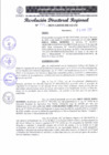 Vista preliminar de documento RDR 199-2025