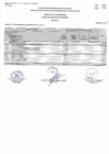 Vista preliminar de documento Presupuesto institucional de ingresos y gastos 2025