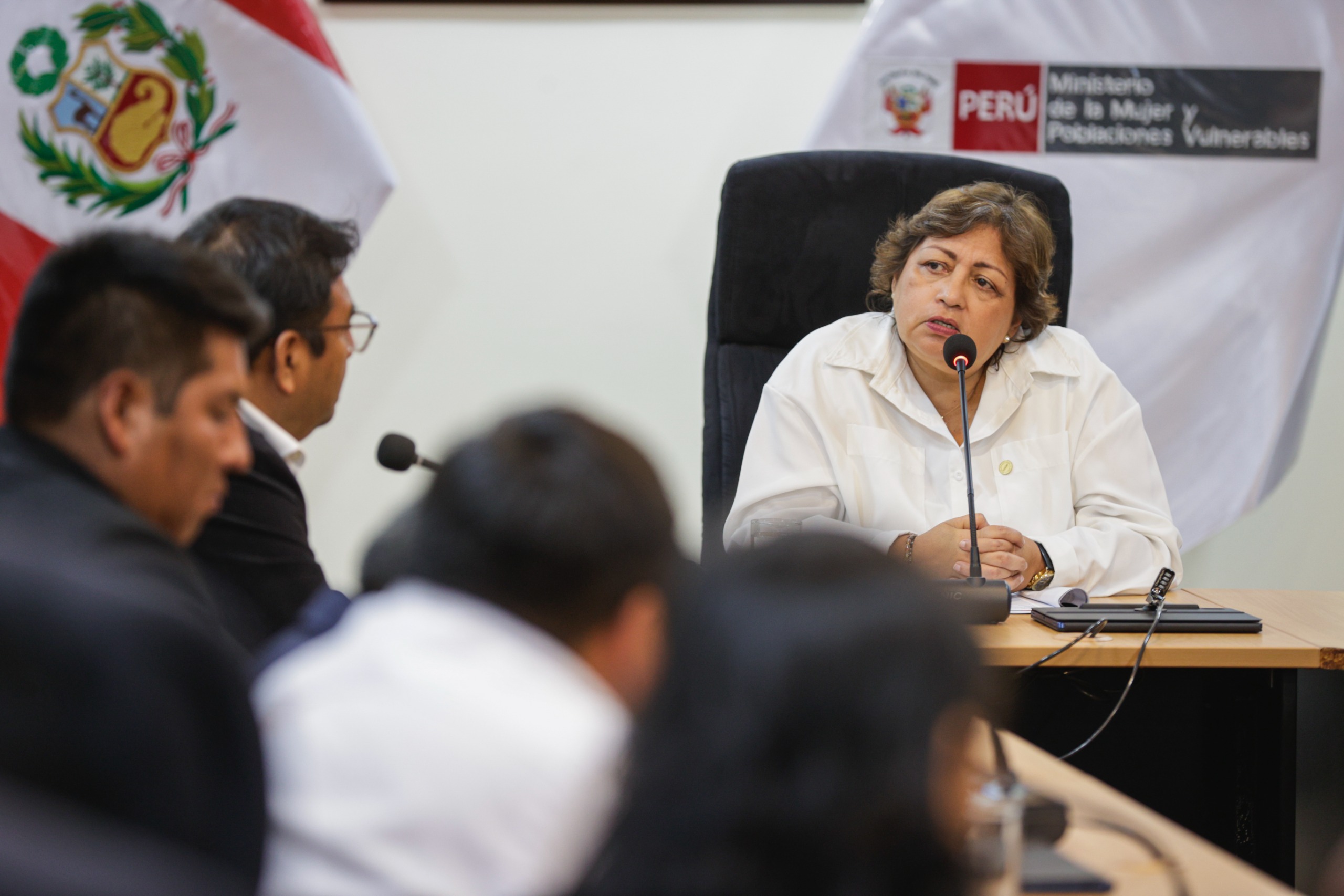 Ministra de la Mujer se reunió con la Asociación de Mancomunidades Municipales del Perú para articular acciones con gobiernos locales