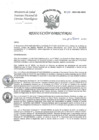 Vista preliminar de documento RD-041-2021-DG-INCN