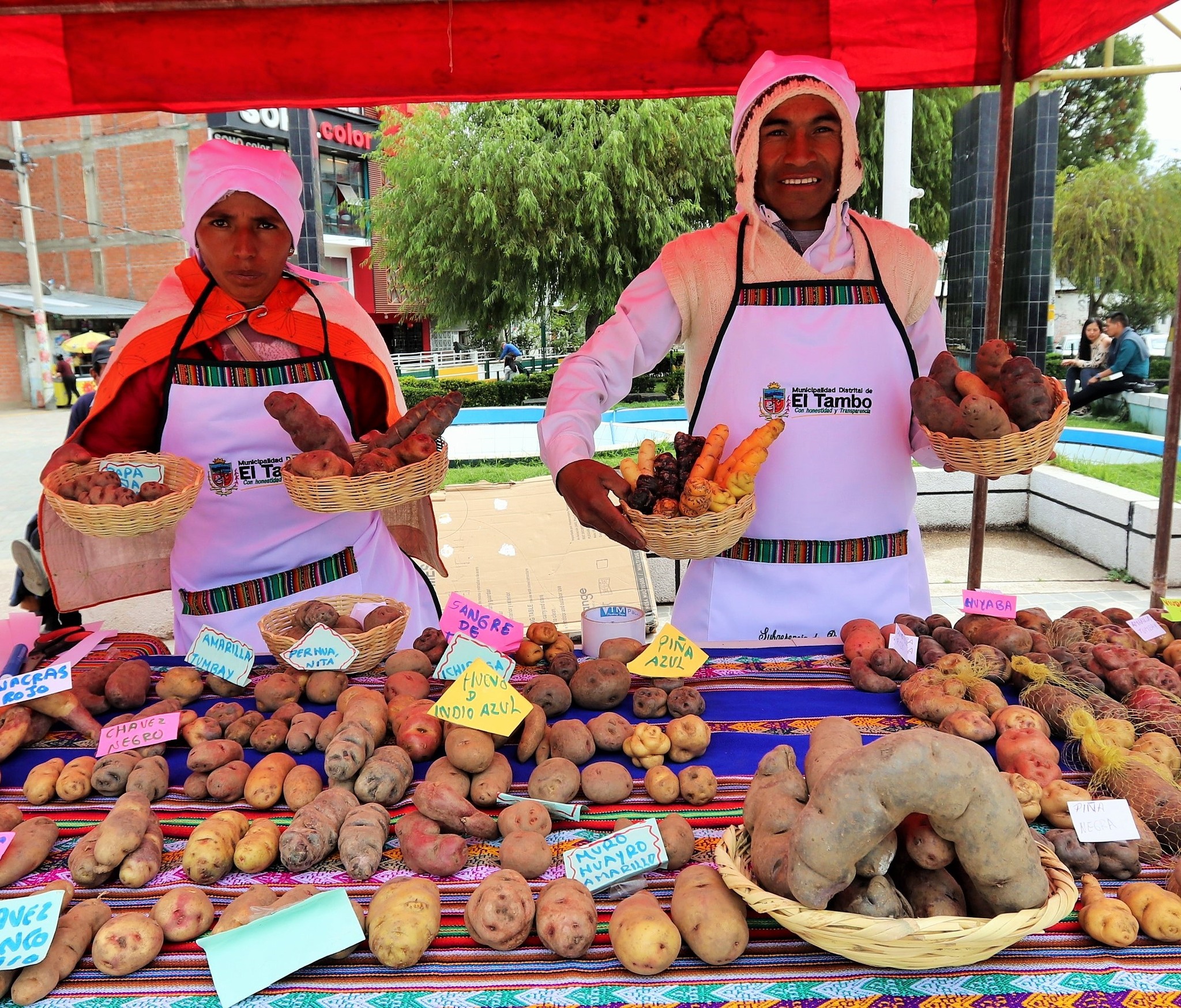 Expo Feria “Miski Papa” ofrece lo mejor del campo a la ciudad este 30 y 31 de mayo