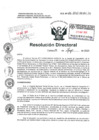Vista preliminar de documento R.D. N° 206-2025-HNDAC-DG