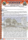 Vista preliminar de documento RGM-N°010-2025