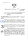 Vista preliminar de documento Resolución Jefatural Nº 117-2025-INEI