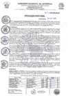 Vista preliminar de documento Resolución Directoral N.° 277-2025-HSR-AND-DE