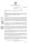 Vista preliminar de documento Resolución Nº 0460-2025-GM-MSS