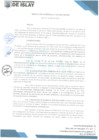 Vista preliminar de documento RG 025-2025-MDI-GM